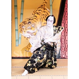 2026年1月 大阪松竹座「壽 初春歌舞伎特別公演」ブロマイド/『祇園祭礼信仰記』/417