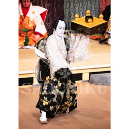 2026年1月 大阪松竹座「壽 初春歌舞伎特別公演」ブロマイド/『祇園祭礼信仰記』/420