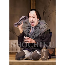 2026�N1�� ��㏼�|���u�� ���t�̕�����ʌ����v�u���}�C�h�^�w�炭���x�^437