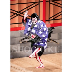 2026年1月 大阪松竹座「壽 初春歌舞伎特別公演」ブロマイド/『菅原伝授手習鑑』/441