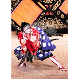 2026年1月 大阪松竹座「壽 初春歌舞伎特別公演」ブロマイド/『菅原伝授手習鑑』/451