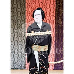 2026年1月 大阪松竹座「壽 初春歌舞伎特別公演」ブロマイド/『祇園祭礼信仰記』/456