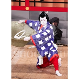 2026�N1�� ��㏼�|���u�� ���t�̕�����ʌ����v�u���}�C�h�^�w�����`����K�Ӂx�^460