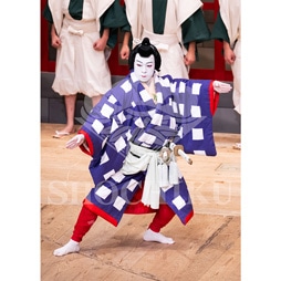 2026�N1�� ��㏼�|���u�� ���t�̕�����ʌ����v�u���}�C�h�^�w�����`����K�Ӂx�^462