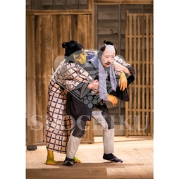 2026�N1�� ��㏼�|���u�� ���t�̕�����ʌ����v�u���}�C�h�^�w�炭���x�^508