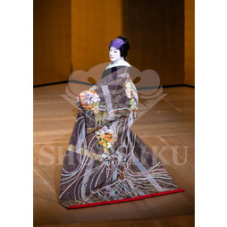 2026�N2�� ��㏼�|���u�Ⓦ�ʎO�Y�@��㏼�|�����c�̉؁v�u���}�C�h�^�w�䖼�c����x�^001