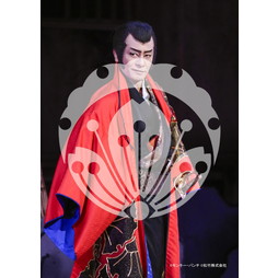 2026年3月 新橋演舞場『流白浪燦星 碧翠の麗城』ブロマイド／002