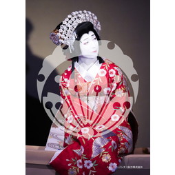 2026年3月 新橋演舞場『流白浪燦星 碧翠の麗城』ブロマイド／018