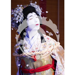 2026年3月 新橋演舞場『流白浪燦星 碧翠の麗城』ブロマイド／025