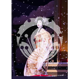 2026年3月 新橋演舞場『流白浪燦星 碧翠の麗城』ブロマイド／026