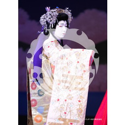 2026年3月 新橋演舞場『流白浪燦星 碧翠の麗城』ブロマイド／027
