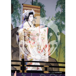 2026年3月 新橋演舞場『流白浪燦星 碧翠の麗城』ブロマイド／029