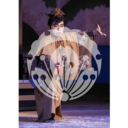 2026年3月 新橋演舞場『流白浪燦星 碧翠の麗城』ブロマイド／038