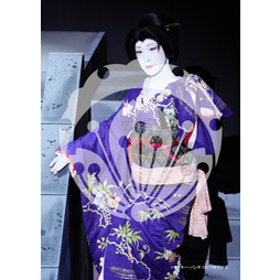 2026年3月 新橋演舞場『流白浪燦星 碧翠の麗城』ブロマイド／046