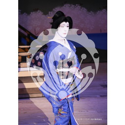 2026年3月 新橋演舞場『流白浪燦星 碧翠の麗城』ブロマイド／049