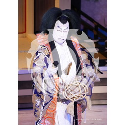 2026年3月 新橋演舞場『流白浪燦星 碧翠の麗城』ブロマイド／070