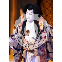 2026年3月 新橋演舞場『流白浪燦星 碧翠の麗城』ブロマイド／071