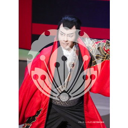 2026年3月 新橋演舞場『流白浪燦星 碧翠の麗城』ブロマイド／201