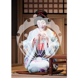 2026年3月 新橋演舞場『流白浪燦星 碧翠の麗城』ブロマイド／213