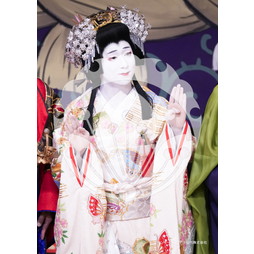 2026年3月 新橋演舞場『流白浪燦星 碧翠の麗城』ブロマイド／220