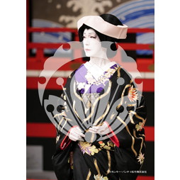 2026年3月 新橋演舞場『流白浪燦星 碧翠の麗城』ブロマイド／232