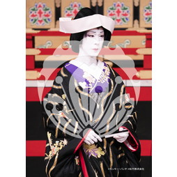 2026年3月 新橋演舞場『流白浪燦星 碧翠の麗城』ブロマイド／233