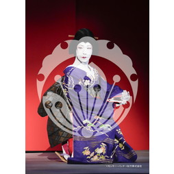 2026年3月 新橋演舞場『流白浪燦星 碧翠の麗城』ブロマイド／237