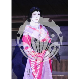 2026年3月 新橋演舞場『流白浪燦星 碧翠の麗城』ブロマイド／240