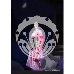 2026年3月 新橋演舞場『流白浪燦星 碧翠の麗城』ブロマイド／242