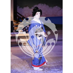 2026年3月 新橋演舞場『流白浪燦星 碧翠の麗城』ブロマイド／246