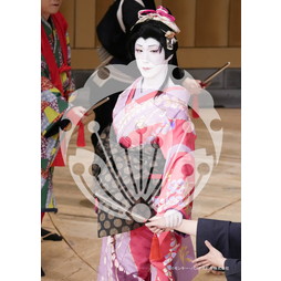 2026年3月 新橋演舞場『流白浪燦星 碧翠の麗城』ブロマイド／253