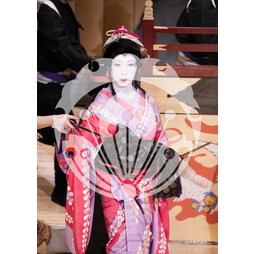 2026年3月 新橋演舞場『流白浪燦星 碧翠の麗城』ブロマイド／254