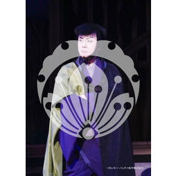 2026年3月 新橋演舞場『流白浪燦星 碧翠の麗城』ブロマイド／269