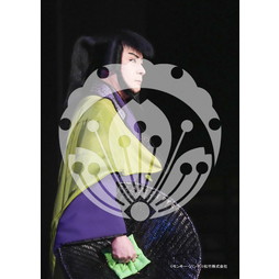 2026年3月 新橋演舞場『流白浪燦星 碧翠の麗城』ブロマイド／270