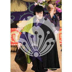 2026年3月 新橋演舞場『流白浪燦星 碧翠の麗城』ブロマイド／276