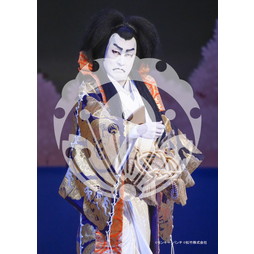 2026年3月 新橋演舞場『流白浪燦星 碧翠の麗城』ブロマイド／282