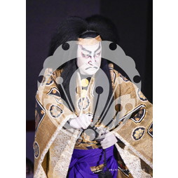 2026年3月 新橋演舞場『流白浪燦星 碧翠の麗城』ブロマイド／284