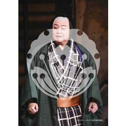 2026年3月 新橋演舞場『流白浪燦星 碧翠の麗城』ブロマイド／285