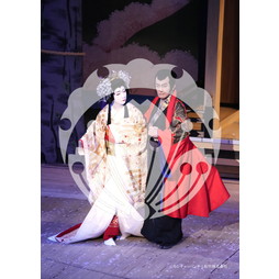 2026年3月 新橋演舞場『流白浪燦星 碧翠の麗城』ブロマイド／297