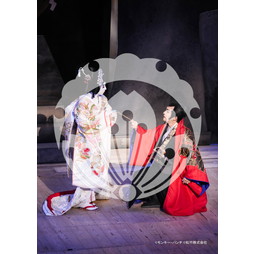 2026年3月 新橋演舞場『流白浪燦星 碧翠の麗城』ブロマイド／299