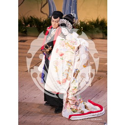 2026年3月 新橋演舞場『流白浪燦星 碧翠の麗城』ブロマイド／300