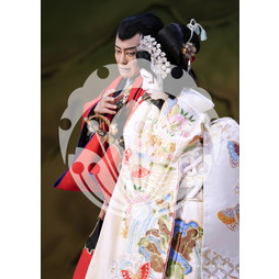 2026年3月 新橋演舞場『流白浪燦星 碧翠の麗城』ブロマイド／301