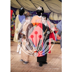 2026年3月 新橋演舞場『流白浪燦星 碧翠の麗城』ブロマイド／306