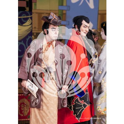 2026年3月 新橋演舞場『流白浪燦星 碧翠の麗城』ブロマイド／307