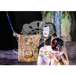 2026年9月 南座『流白浪燦星 碧翠の麗城』ブロマイド／313