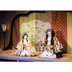 2026年9月 南座『流白浪燦星 碧翠の麗城』ブロマイド／319