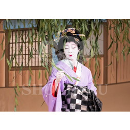 2026年3月 南座「花形歌舞伎 特別公演」ブロマイド／『曽根崎心中物語』／065