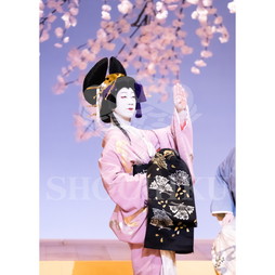 2026年4月 大阪松竹座さよなら公演「御名残四月大歌舞伎」ブロマイド／『夕霧名残の正月』／121