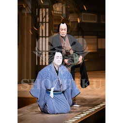 2026年4月 大阪松竹座さよなら公演「御名残四月大歌舞伎」ブロマイド／『心中天網島』／175