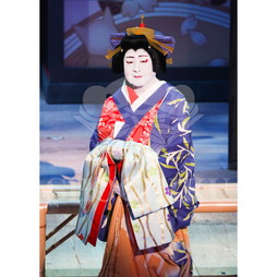2026年4月 大阪松竹座さよなら公演「御名残四月大歌舞伎」ブロマイド／『大當り伏見の富くじ』／411